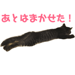 [LINEスタンプ] 楓 2 