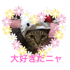 [LINEスタンプ] リリープリンシェリーの日常 