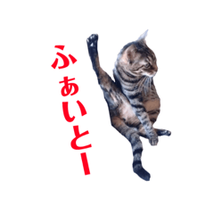 [LINEスタンプ] ルビーといっしよ 2