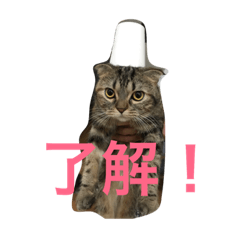 [LINEスタンプ] スコティッシュフォールドのミント2 