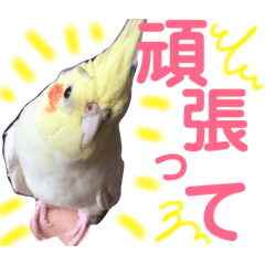 [LINEスタンプ] 小五郎のキモチ♡