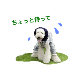 [LINEスタンプ] ふぁる男* 