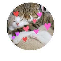 [LINEスタンプ] ひこ＆くー 8