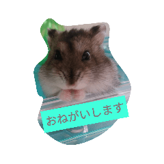 [LINEスタンプ] リアルポテトさん 