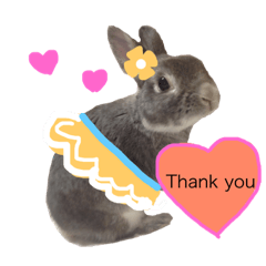 [LINEスタンプ] うさぎのそら 
