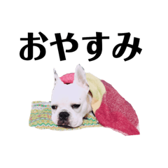 [LINEスタンプ] モブ君スタンプ 