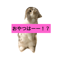 [LINEスタンプ] 八尾mimi 