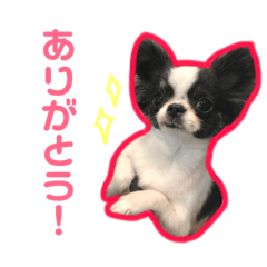 [LINEスタンプ] チワワのぶらんとらぶん2 