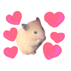[LINEスタンプ] キンクマハムスタースタンプ 