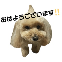 [LINEスタンプ] キアラとジャスミン 