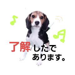 [LINEスタンプ] いぬのスタンプだよ