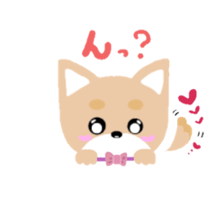 [LINEスタンプ] 茶シバ  コロコロ仔犬