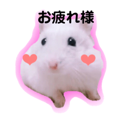 [LINEスタンプ] ココとチビ2