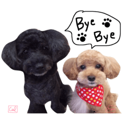 [LINEスタンプ] となりのぷー
