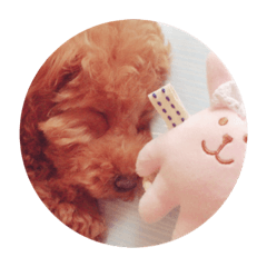 [LINEスタンプ] るる♡きらら