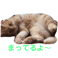 [LINEスタンプ] 毎日使える日常にゃんこ 