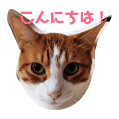 [LINEスタンプ] わが家のガヤ達スタンプ 