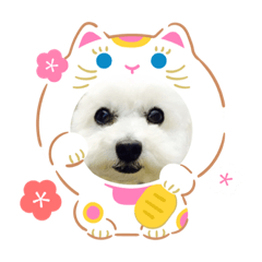 [LINEスタンプ] ラッキー2