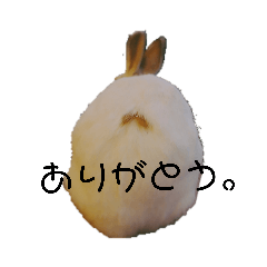 [LINEスタンプ] うさぎからみんなへ！3