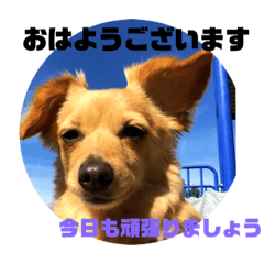 [LINEスタンプ] ムギ ムギ と楽しい仲間