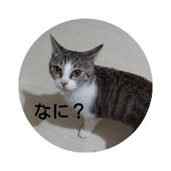 [LINEスタンプ] ジジ様 