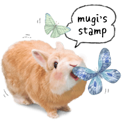 [LINEスタンプ] うさぎのムギンプ2