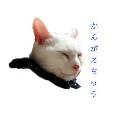 [LINEスタンプ] 白猫ジジ2の画像（メイン）