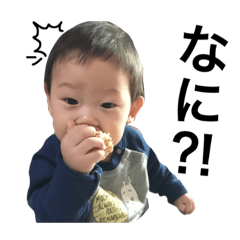[LINEスタンプ] あげな しょうき 