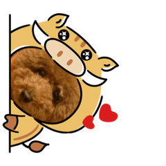 [LINEスタンプ] トイプーmintoのスタンプ2 