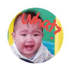 [LINEスタンプ] 一番可愛いいっちゃんのスタンプ 