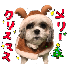 [LINEスタンプ] メイの季節 