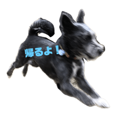 [LINEスタンプ] ルッペロスタンプ！ 