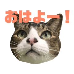 [LINEスタンプ] たくやといっしょスタンプ 