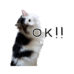 [LINEスタンプ] のるうぇーじゃんふぉれすときゃっと 