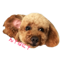 [LINEスタンプ] そらあずの日常  たまに やまたい 