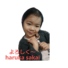 [LINEスタンプ] サカイ ハルカ 