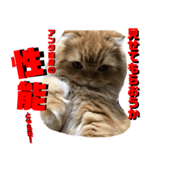 [LINEスタンプ] ココwithパワーアップキット 