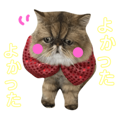 [LINEスタンプ] わんにゃん物語。
