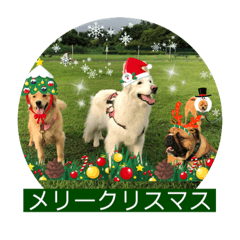 [LINEスタンプ] ゴールデンのニコと仲間のクリスマス正月用