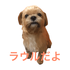 [LINEスタンプ] LAURU