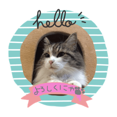 [LINEスタンプ] ムギちゃんルナちゃん 