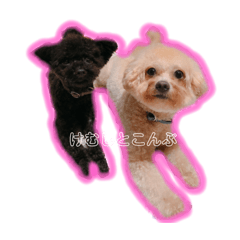 [LINEスタンプ] けむしとこんぶ