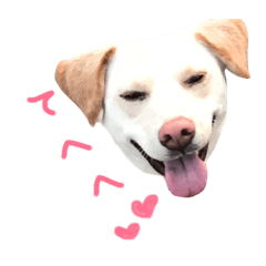 [LINEスタンプ] えんJOYスタンプ 