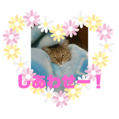 [LINEスタンプ] のんびりちょうさんの画像（メイン）