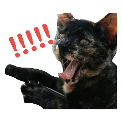 [LINEスタンプ] わかばとふたば