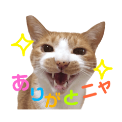 [LINEスタンプ] 茶トラ猫のクリームおじさん