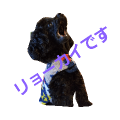 [LINEスタンプ] ジャックさんと愉快な仲間達  2 