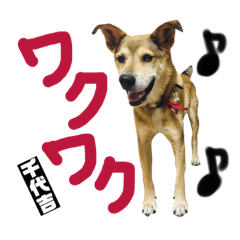 [LINEスタンプ] 全部千代吉 日常編