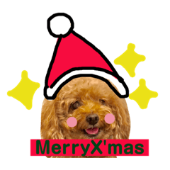[LINEスタンプ] ハナクロXmasバージョン
