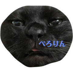 [LINEスタンプ] 切り抜かれたくろねこ
